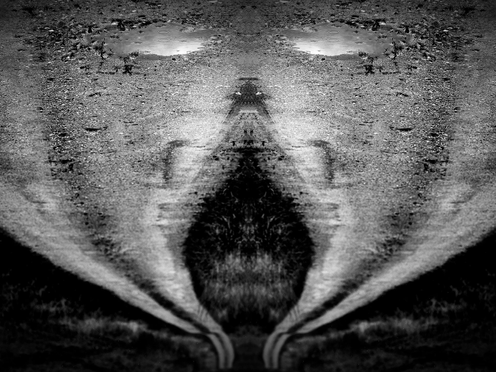 Argonaute