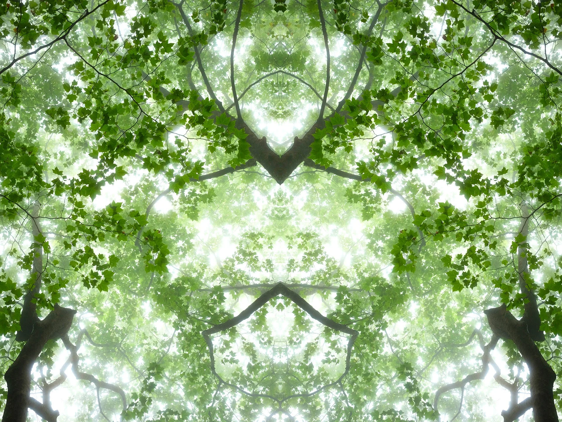Hexapode