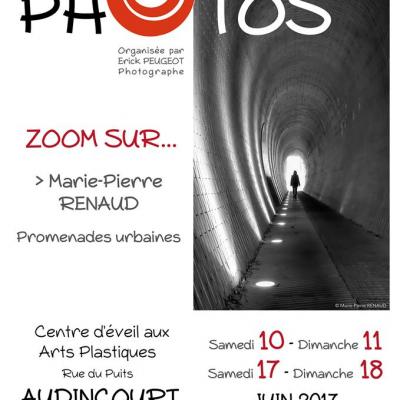 Affiche de l'exposition Zoom sur Marie-Pierre Renaud